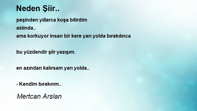 Mertcan Arslan