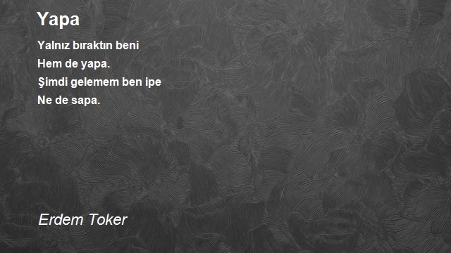 Erdem Toker