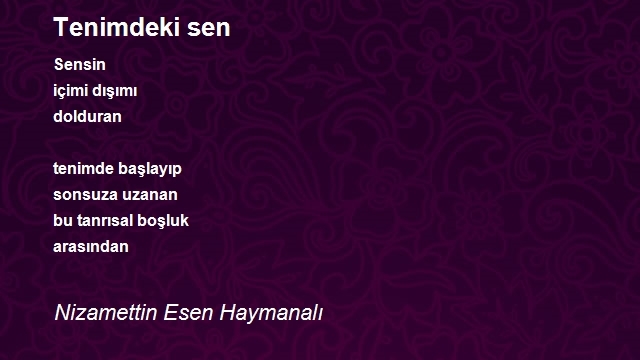 Nizamettin Esen Haymanalı