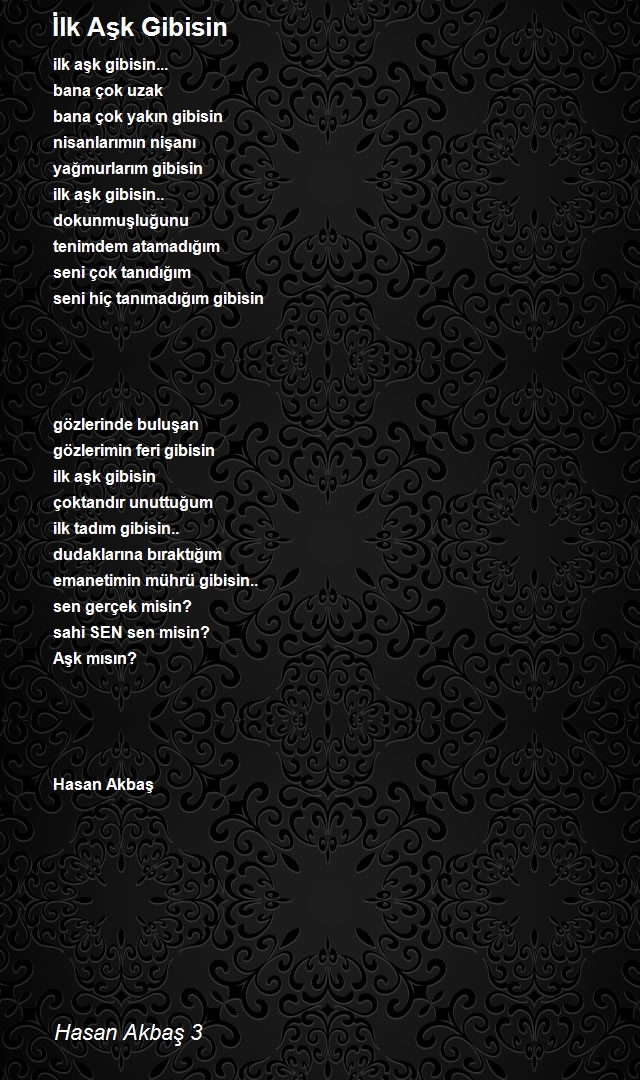 Hasan Akbaş 3