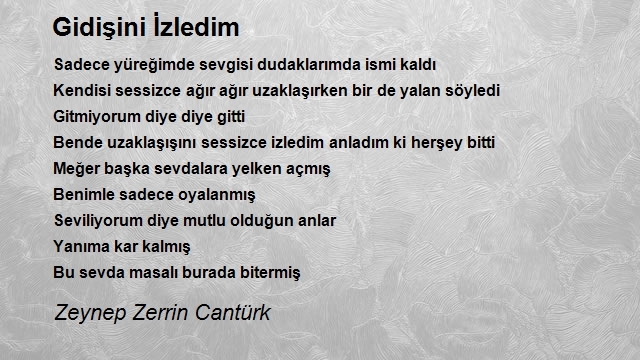 Zeynep Zerrin Cantürk