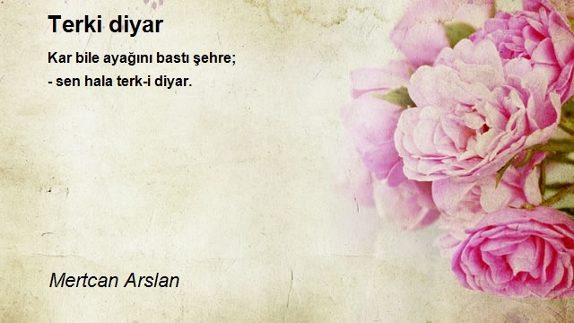 Mertcan Arslan