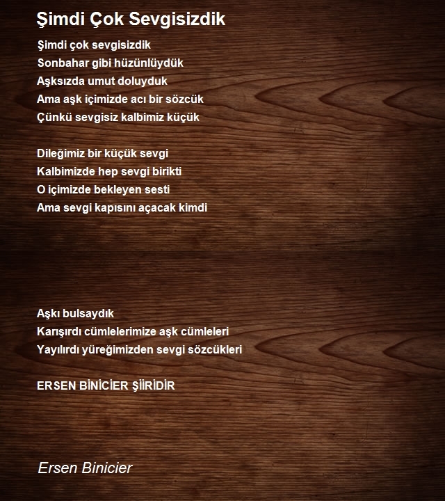 Ersen Binicier