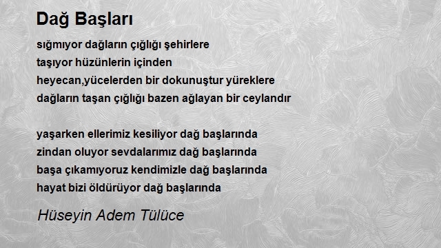 Hüseyin Adem Tülüce