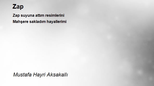 Mustafa Hayri Aksakallı