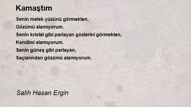 Salih Hasan Ergin