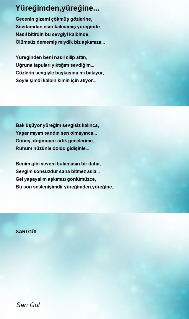 Sarı Gül