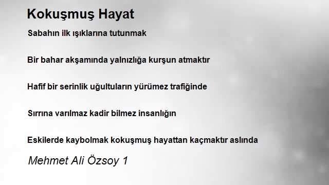 Mehmet Ali Özsoy 1