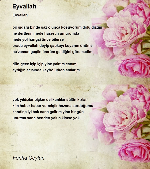 Feriha Ceylan