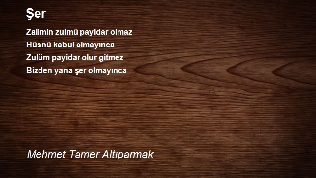 Mehmet Tamer Altıparmak