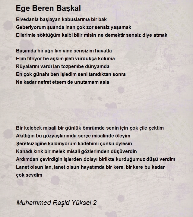 Muhammed Raşid Yüksel 2