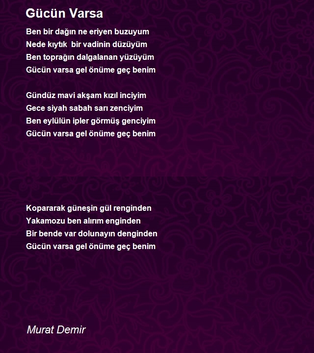 Murat Demir