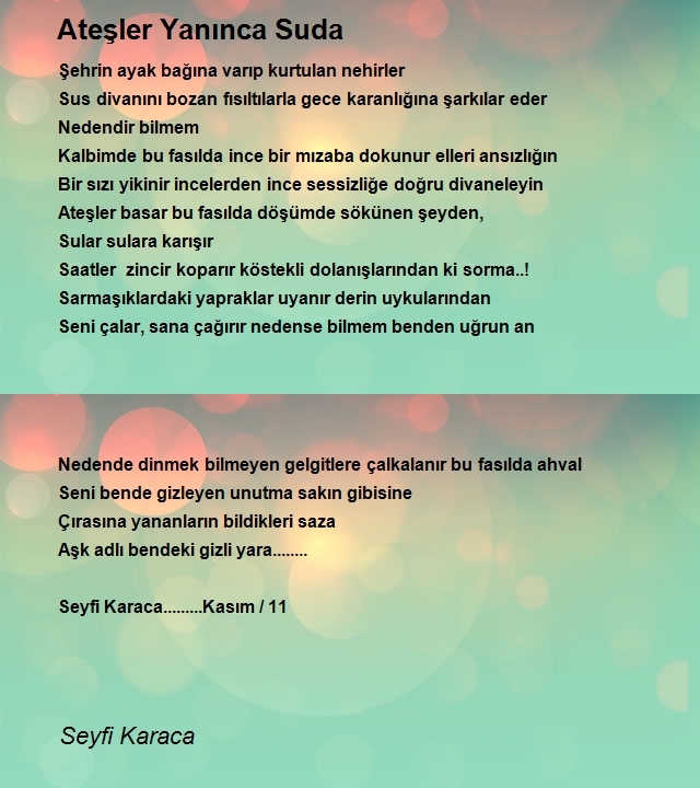 Seyfi Karaca