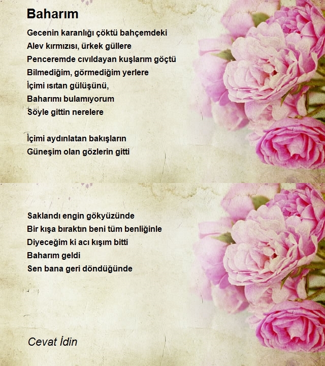 Cevat İdin