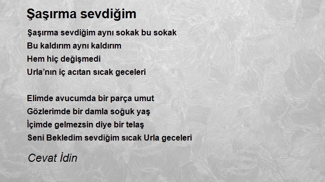 Cevat İdin