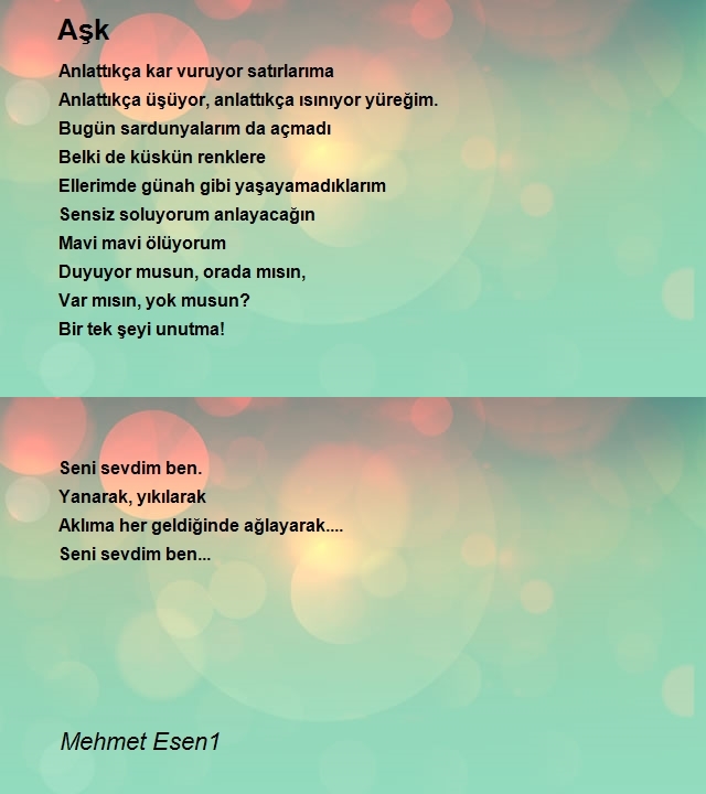 Mehmet Esen1