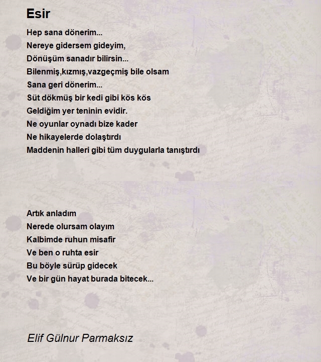 Elif Gülnur Parmaksız