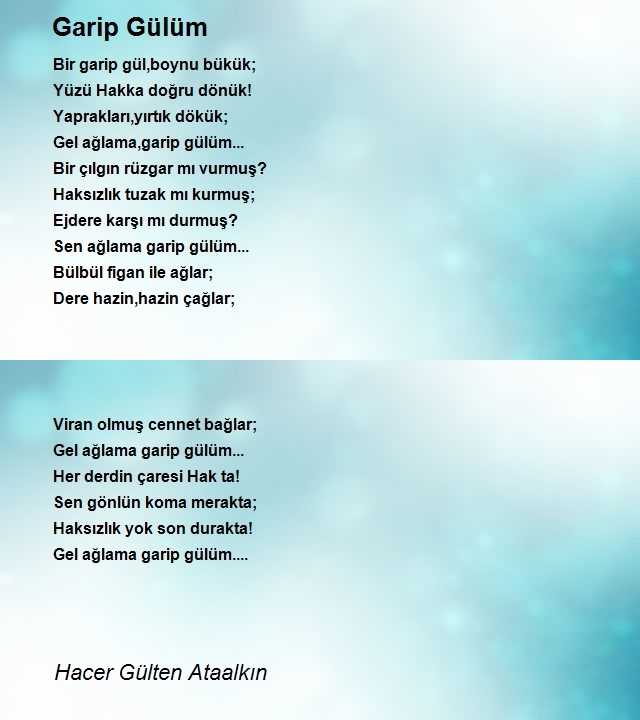 Hacer Gülten Ataalkın