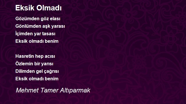 Mehmet Tamer Altıparmak