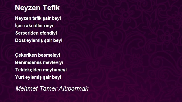 Mehmet Tamer Altıparmak