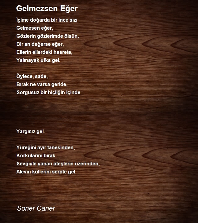 Soner Caner