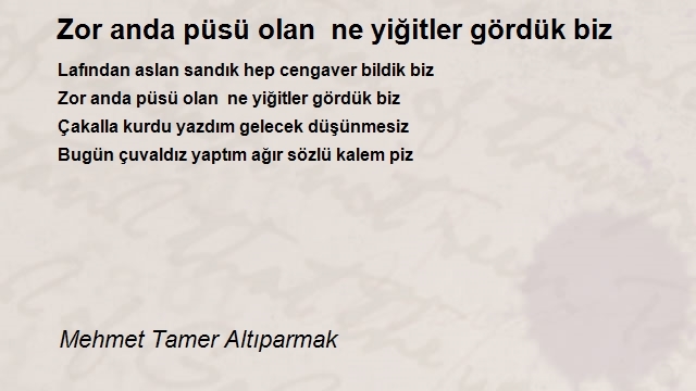 Mehmet Tamer Altıparmak