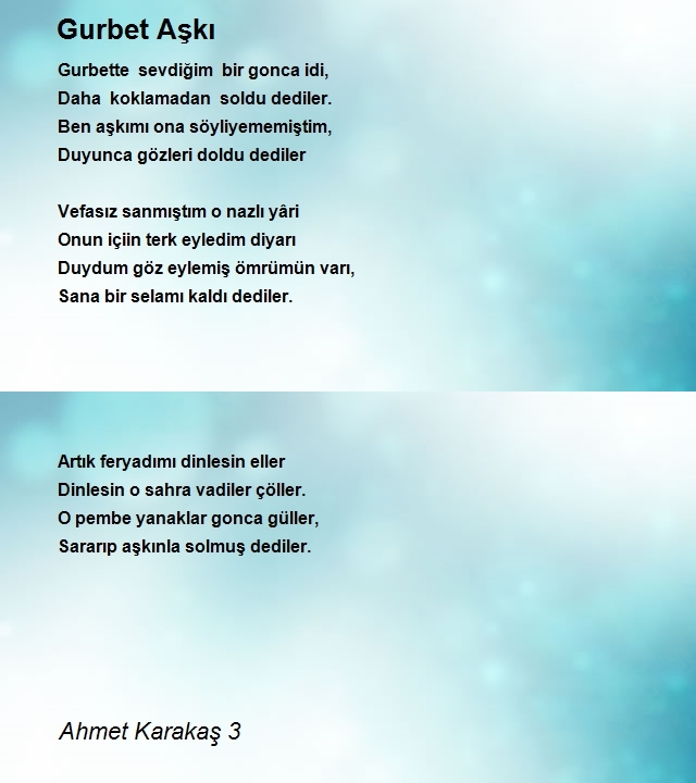 Ahmet Karakaş 3