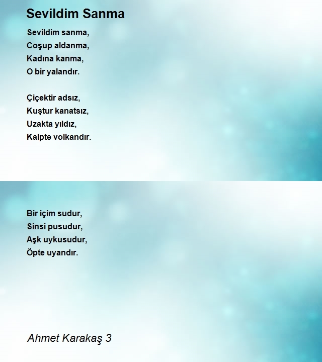 Ahmet Karakaş 3