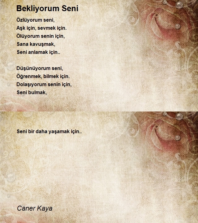 Caner Kaya