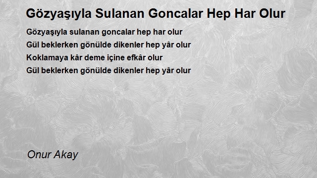 Onur Akay