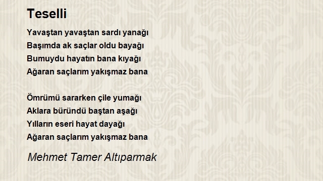 Mehmet Tamer Altıparmak