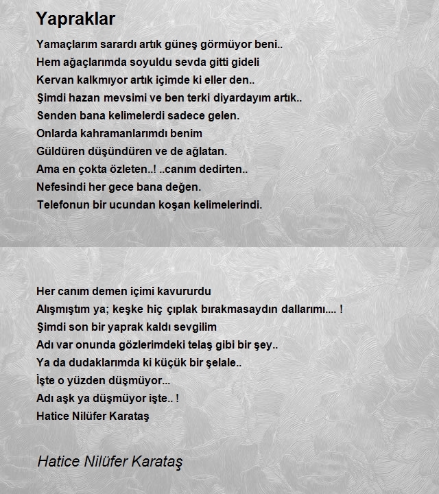 Hatice Nilüfer Karataş