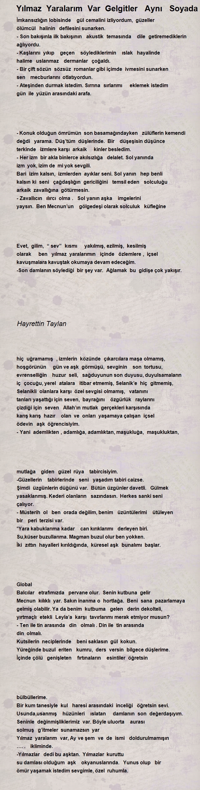 Hayrettin Taylan