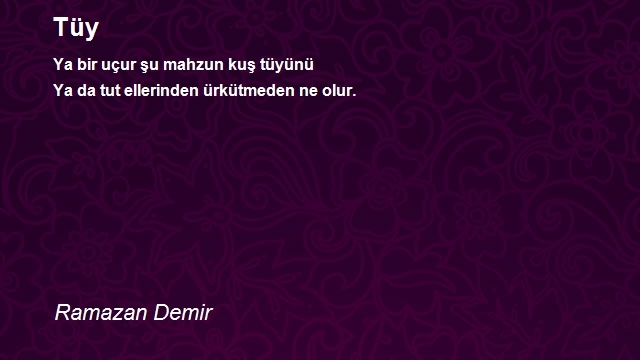 Ramazan Demir