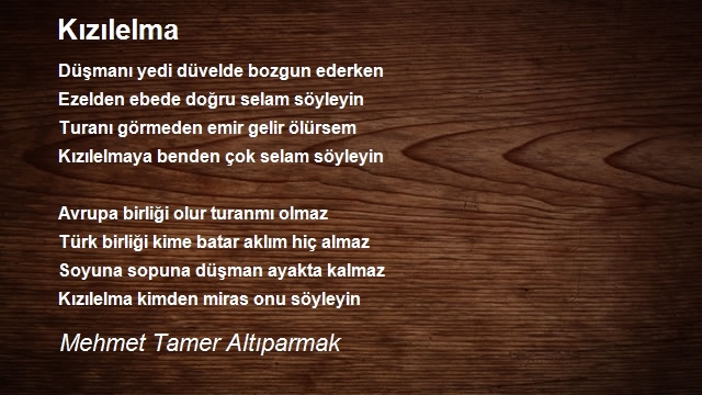 Mehmet Tamer Altıparmak