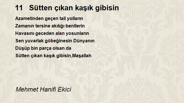 Mehmet Hanifi Ekici