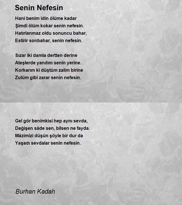 Burhan Kadah