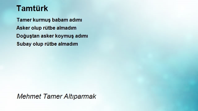 Mehmet Tamer Altıparmak