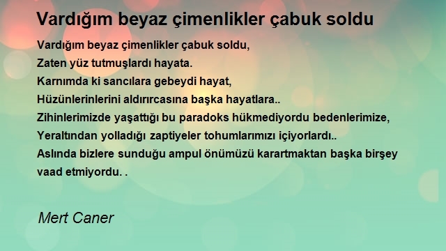 Mert Caner