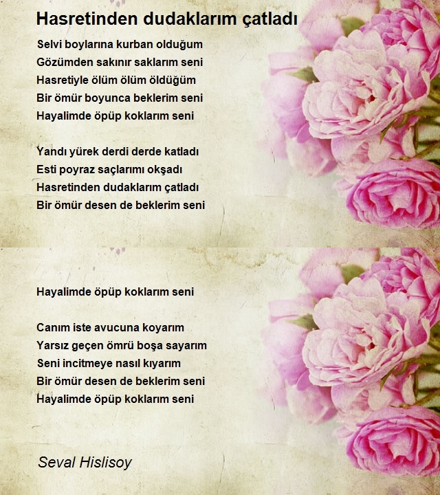 Seval Hislisoy