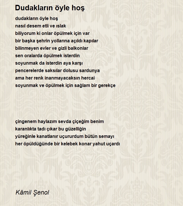 Kâmil Şenol