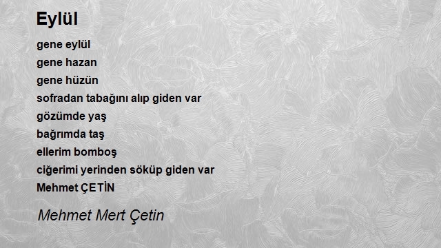 Mehmet Mert Çetin