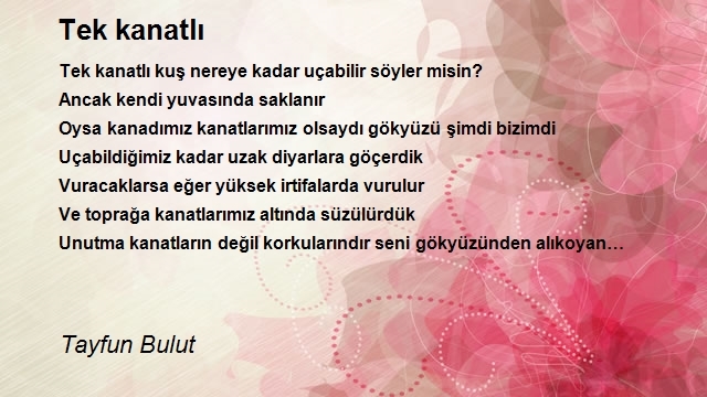 Tayfun Bulut