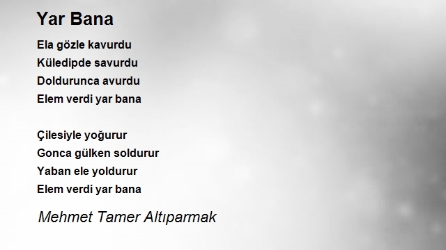 Mehmet Tamer Altıparmak