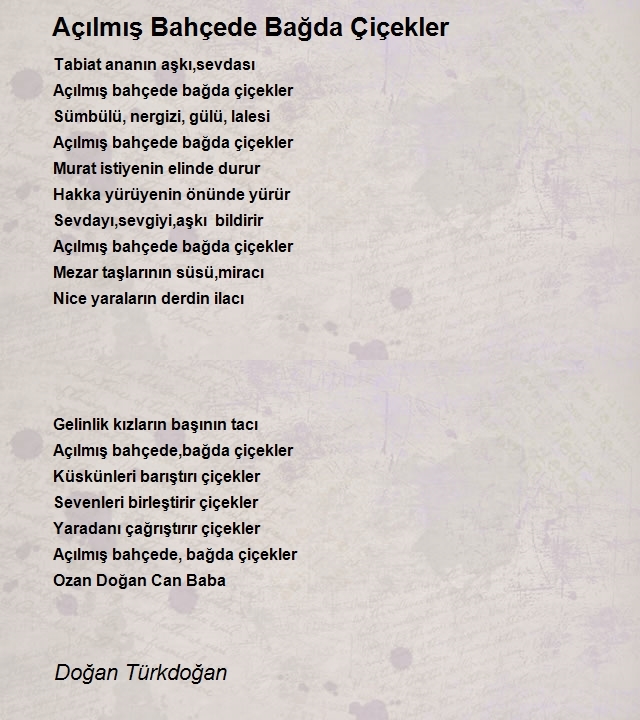 Doğan Türkdoğan