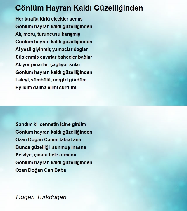 Doğan Türkdoğan