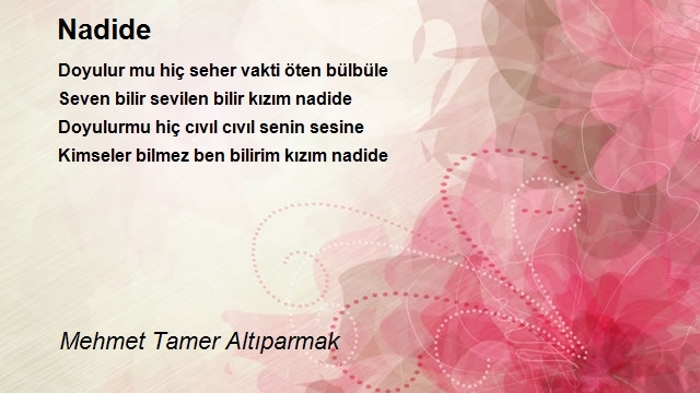 Mehmet Tamer Altıparmak