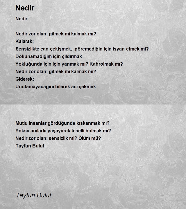 Tayfun Bulut