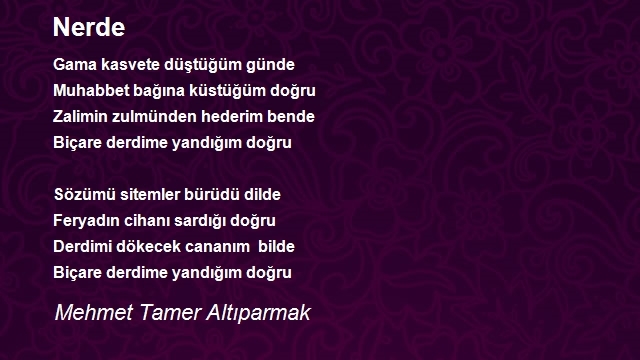 Mehmet Tamer Altıparmak