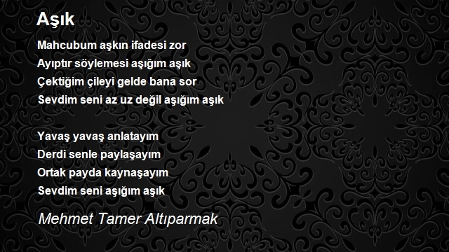 Mehmet Tamer Altıparmak